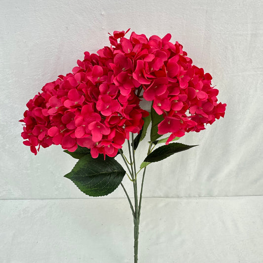 Pink Silk French Hydrangea Bush - 5 Heads