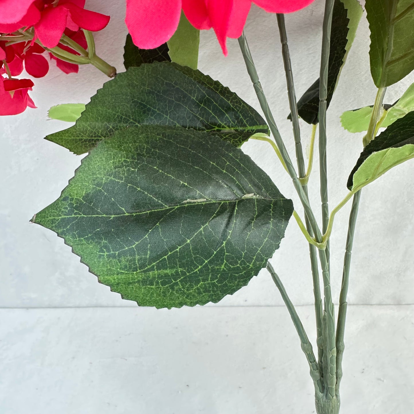 Pink Silk French Hydrangea Bush - 5 Heads
