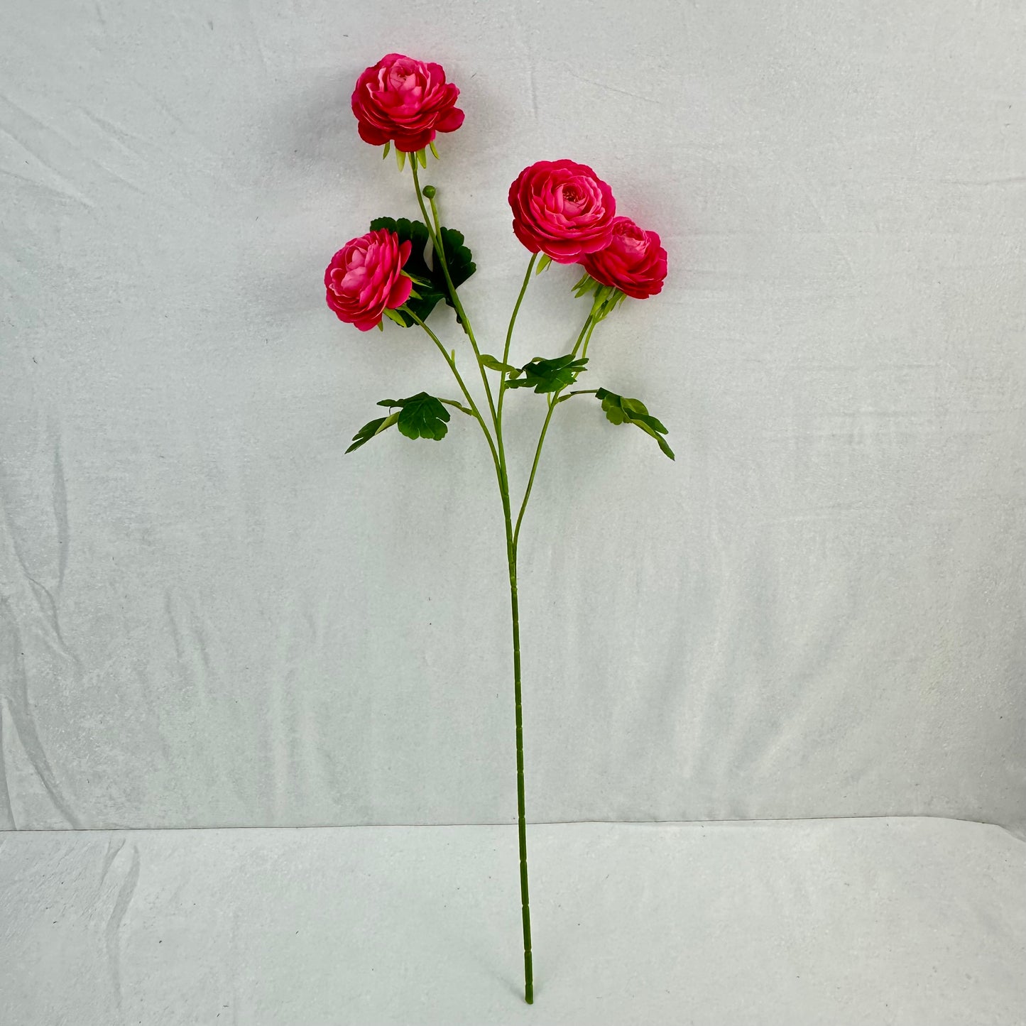 Pink Silk Camellia Bush - 4 Heads
