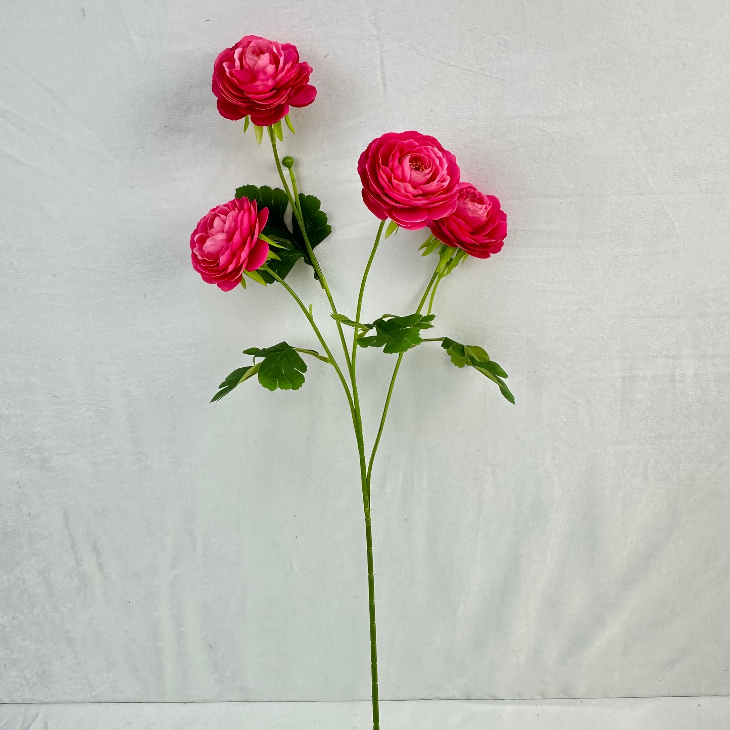 Pink Silk Camellia Bush - 4 Heads