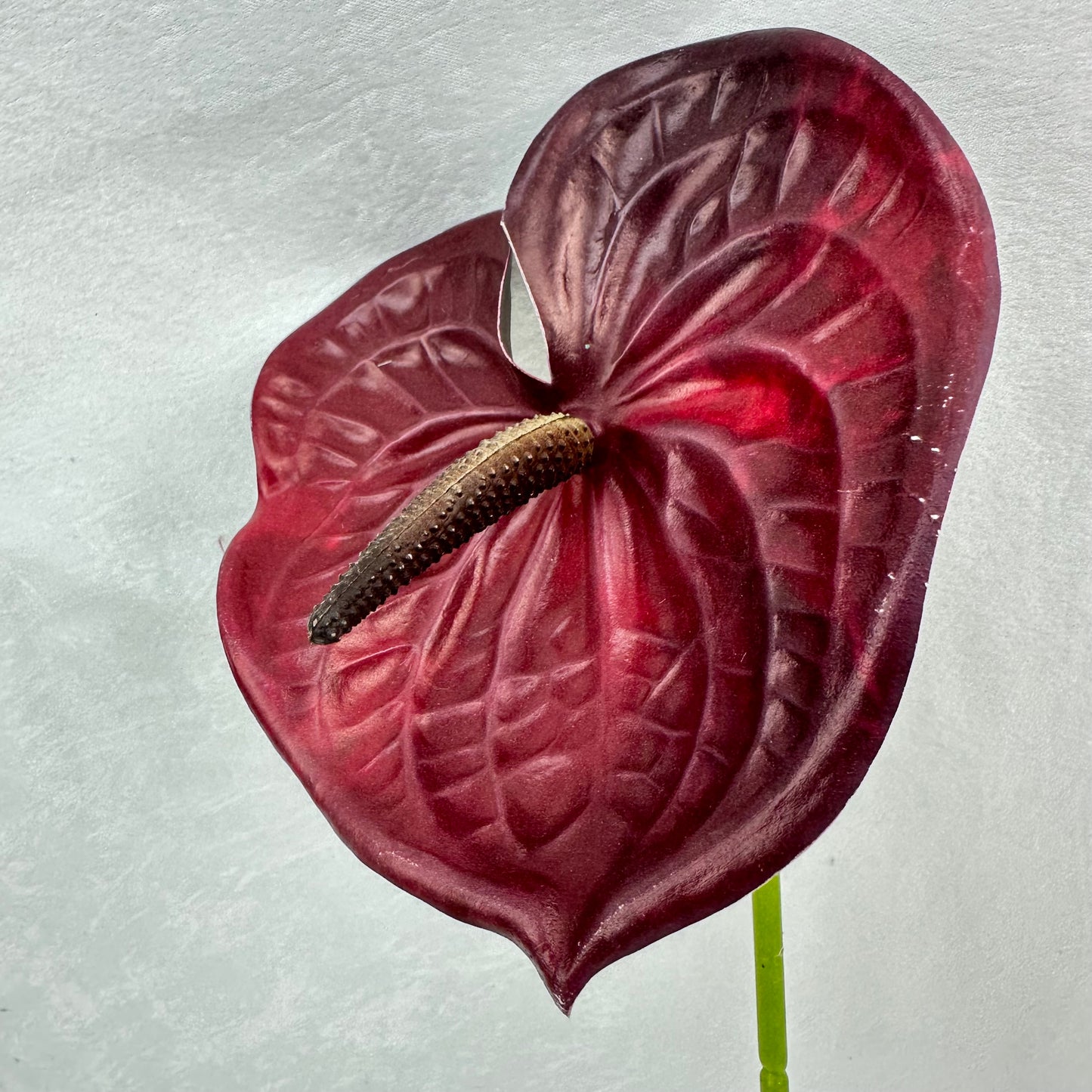Red Real Touch Anthurium Stem