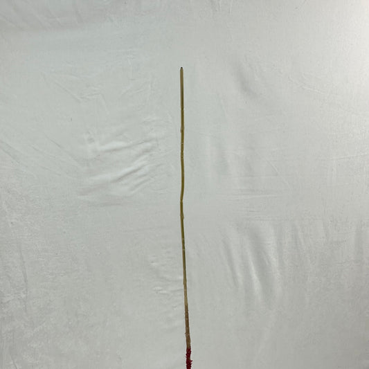 Red Silk Amaranthus Stem