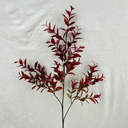 Red Sydney Vanilla Leaf Branch
