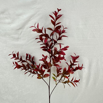 Red Sydney Vanilla Leaf Branch