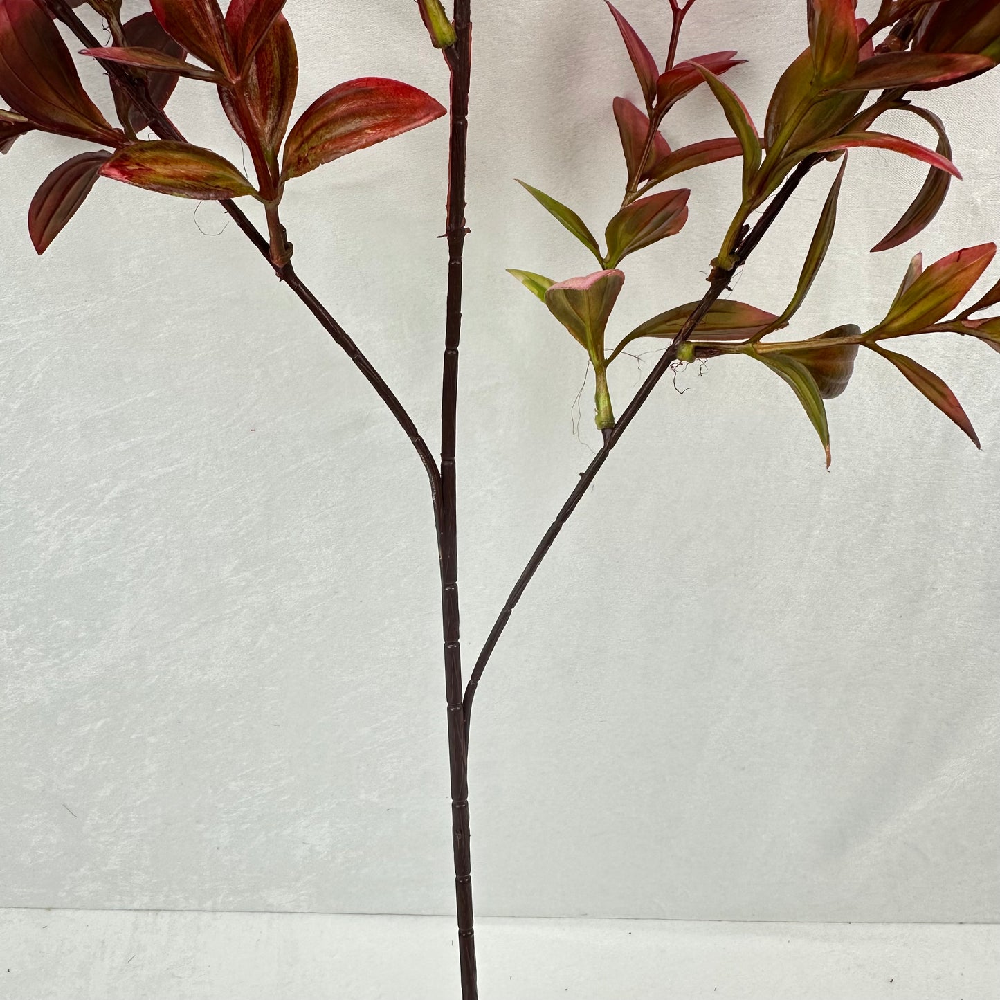 Red Sydney Vanilla Leaf Branch