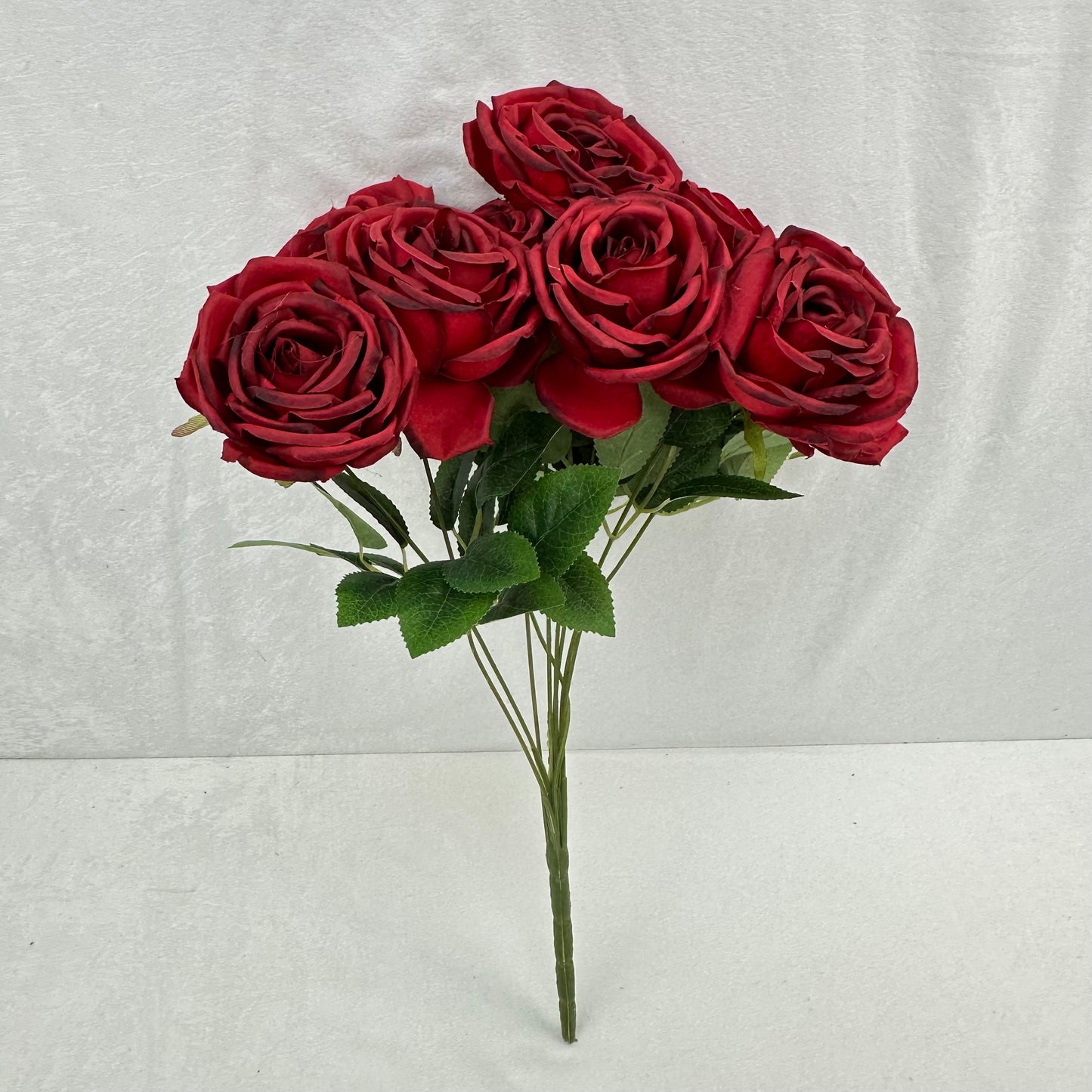 Red Silk Dream Empress Rose Bush - 9 Heads