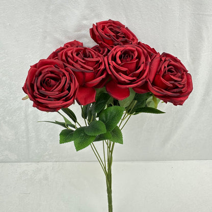 Red Silk Dream Empress Rose Bush - 9 Heads