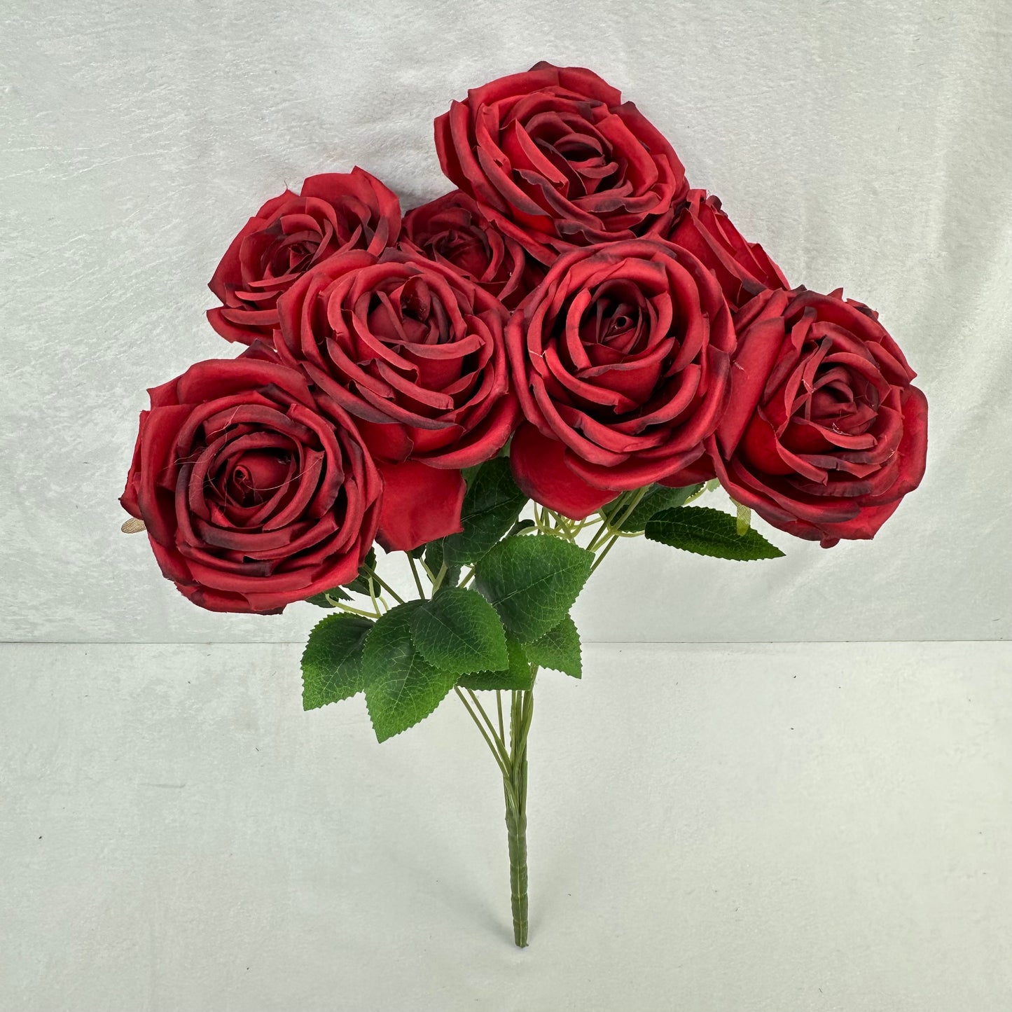 Red Silk Dream Empress Rose Bush - 9 Heads
