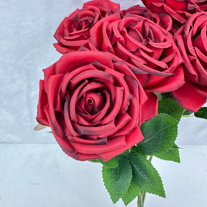 Red Silk Dream Empress Rose Bush - 9 Heads