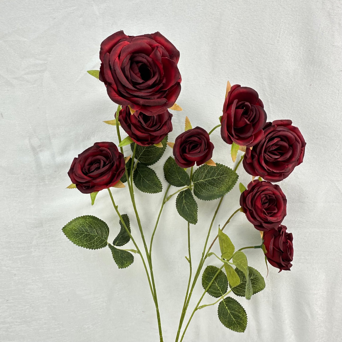 Red Silk Empress Rose Bush - 8 Heads