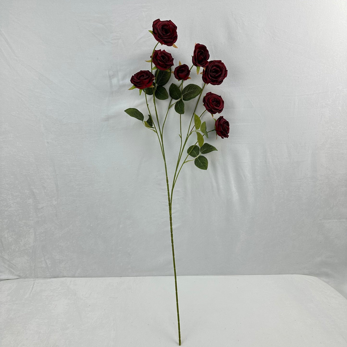 Red Silk Empress Rose Bush - 8 Heads