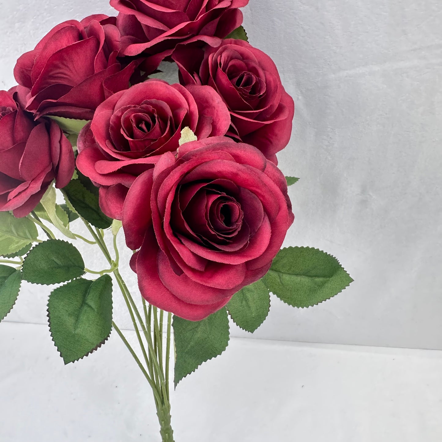Red Silk Holland Rose Bush - 9 Heads