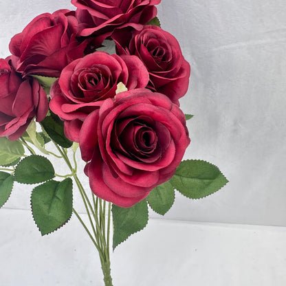 Red Silk Holland Rose Bush - 9 Heads