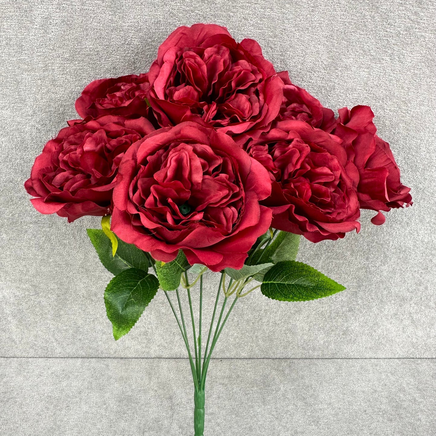 Red Silk Austin Rose Bush - 7 Heads