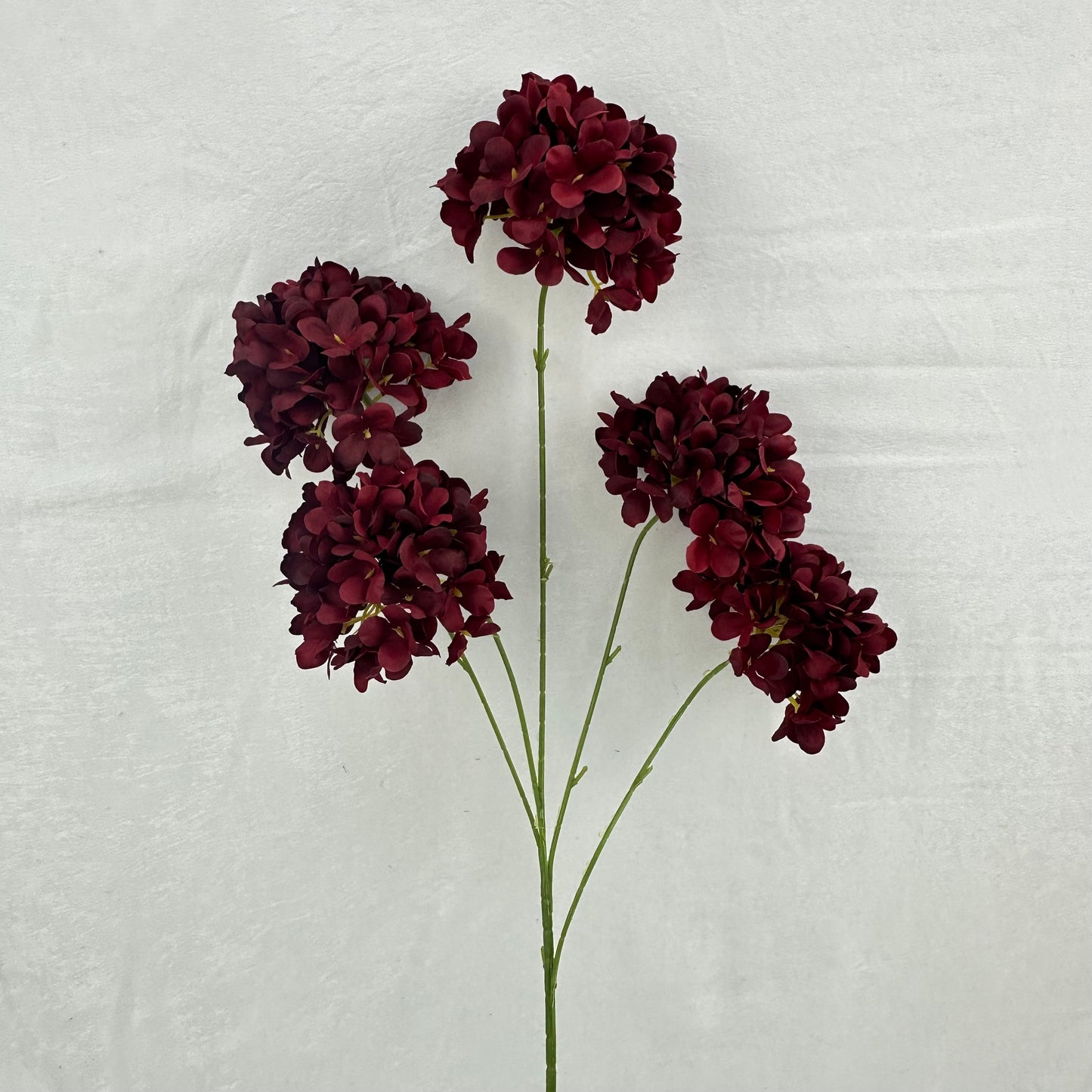 Red Silk Candy Hydrangea Bush - 5 Heads