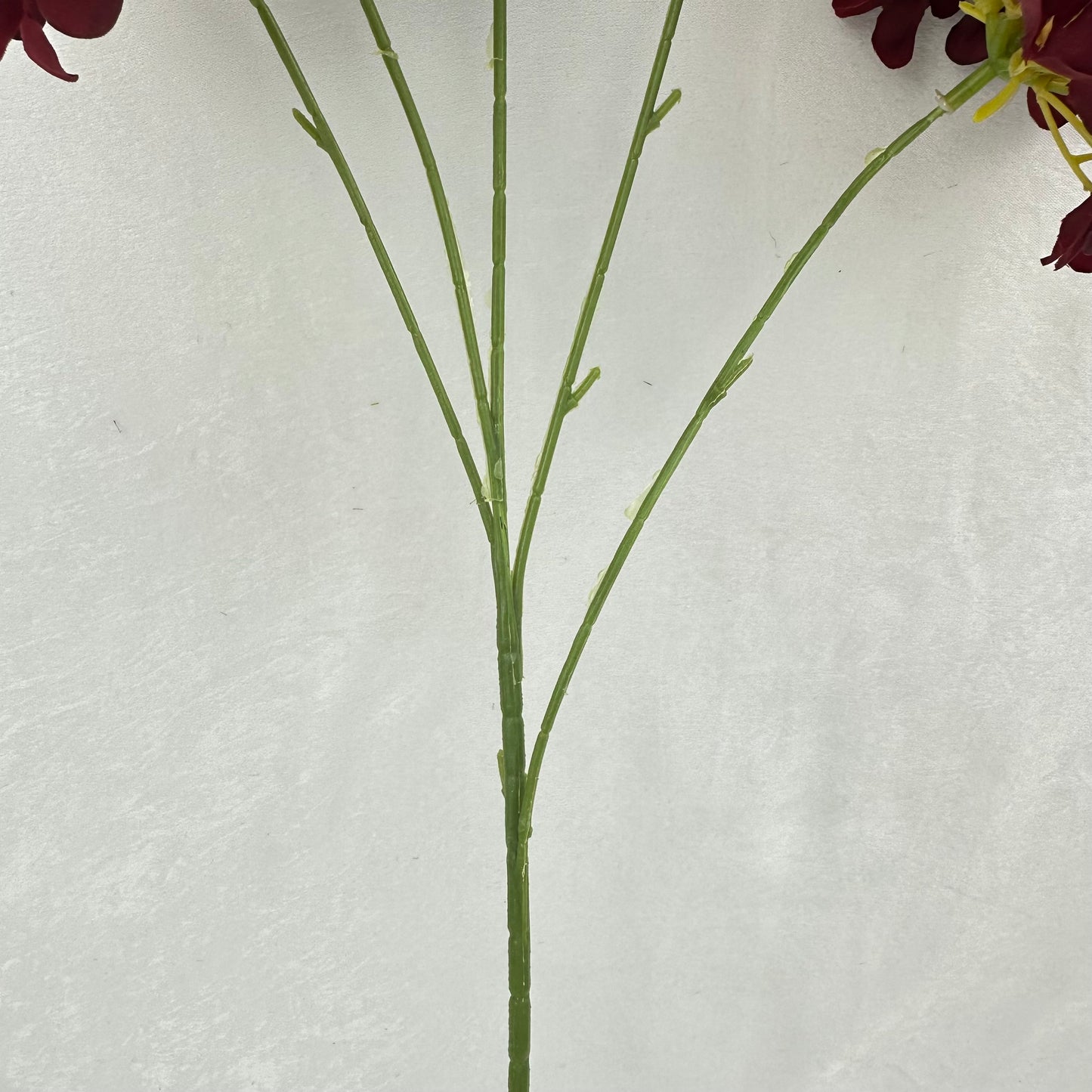 Red Silk Candy Hydrangea Bush - 5 Heads