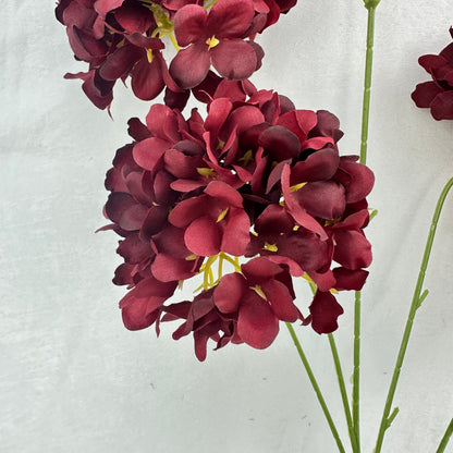 Red Silk Candy Hydrangea Bush - 5 Heads