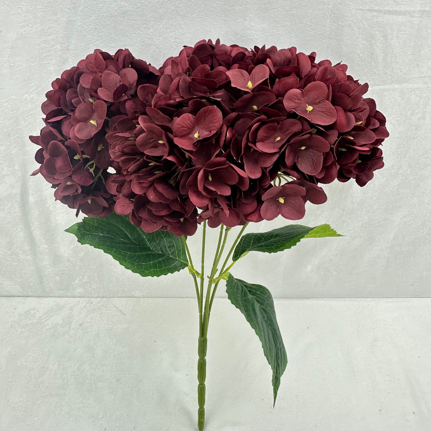 Red Silk Pomegranate Hydrangea Bush - 5 Heads