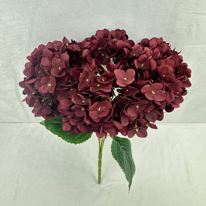 Red Silk Pomegranate Hydrangea Bush - 5 Heads