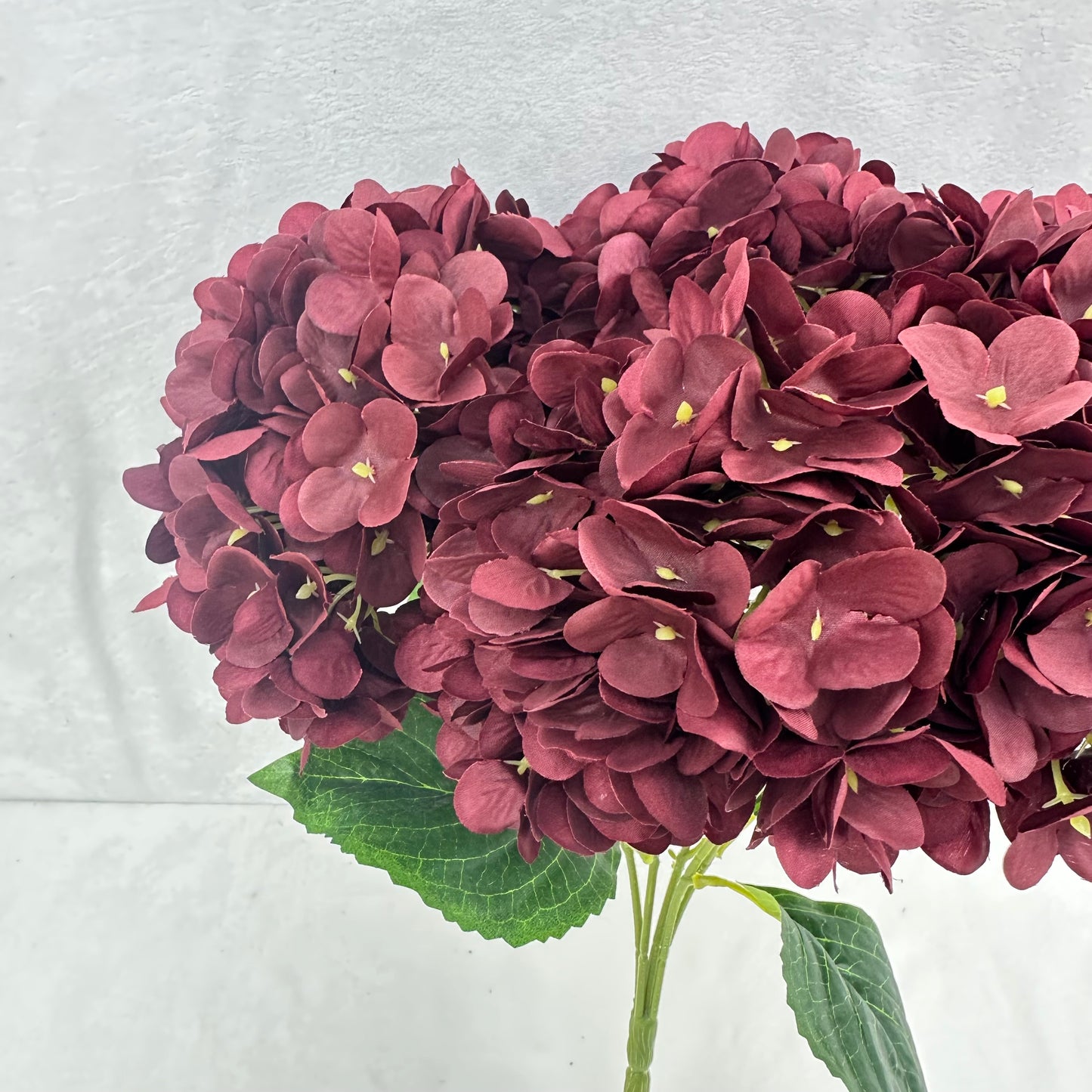 Red Silk Pomegranate Hydrangea Bush - 5 Heads