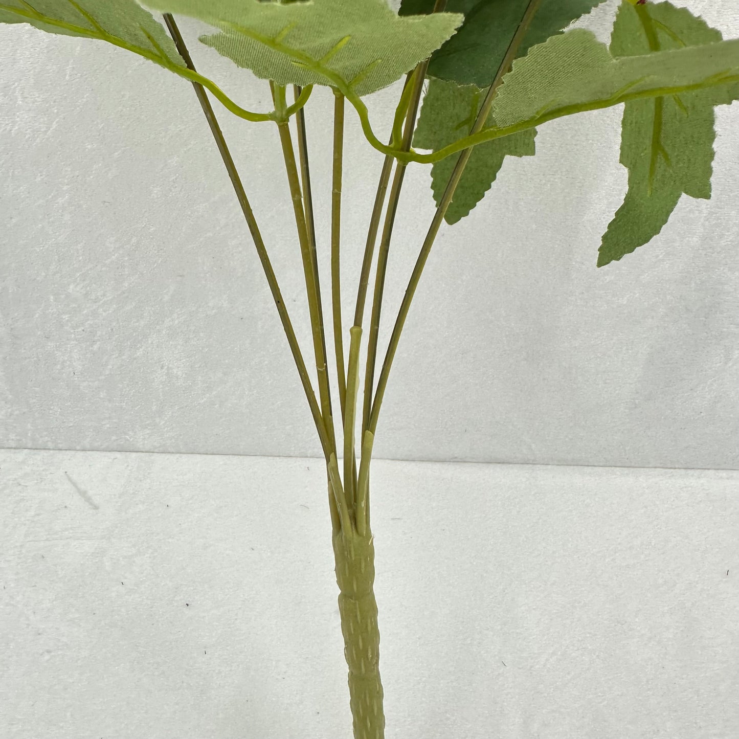 Red Silk Needle Chrysanthemum Bush - 7 Heads
