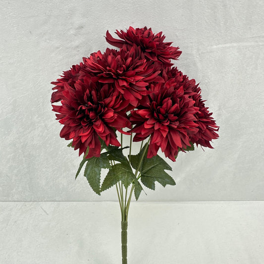 Red Silk Bo New Dahlia Bush - 7 Heads