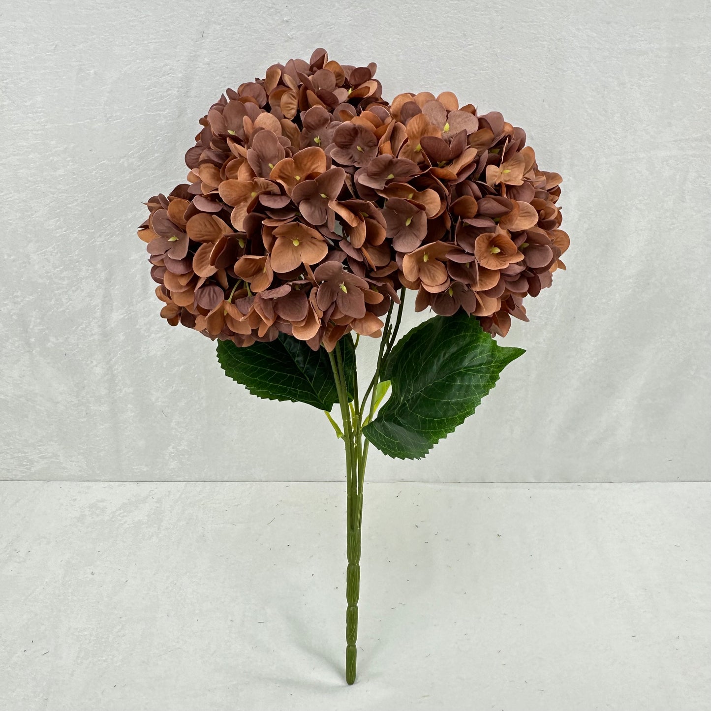 Brown Silk Pomegranate Hydrangea Bush - 5 Heads