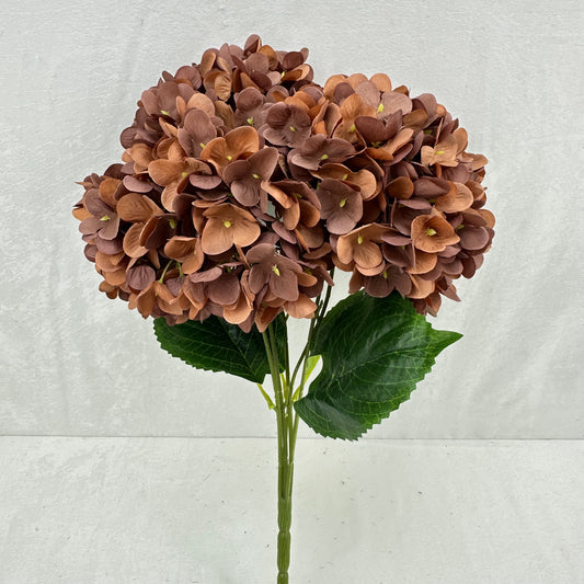 Brown Silk Pomegranate Hydrangea Bush - 5 Heads