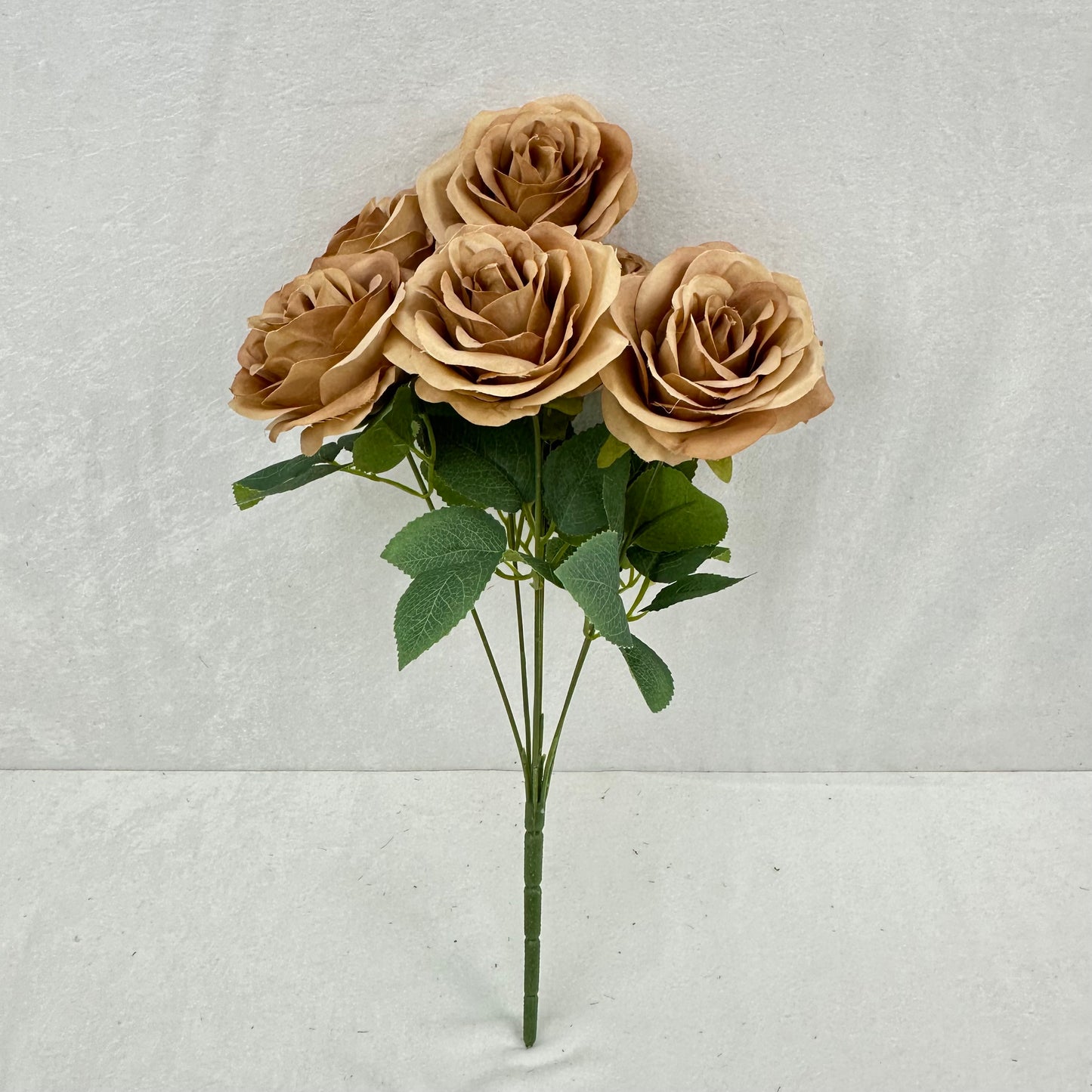 Brown Silk Happiness Rose Bush - 7 Heads