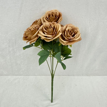 Brown Silk Happiness Rose Bush - 7 Heads