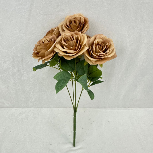Brown Silk Happiness Rose Bush - 7 Heads