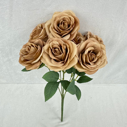 Brown Silk Happiness Rose Bush - 7 Heads