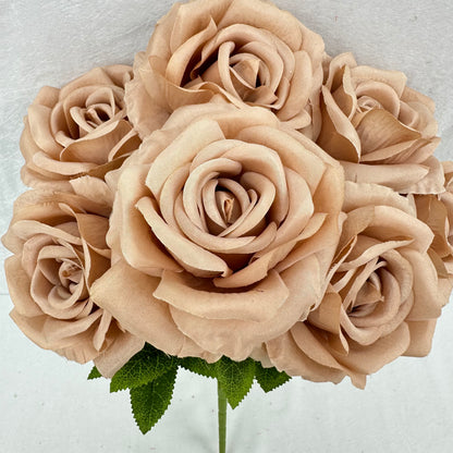 Brown Silk Star Moon Rose Bush - 7 Heads