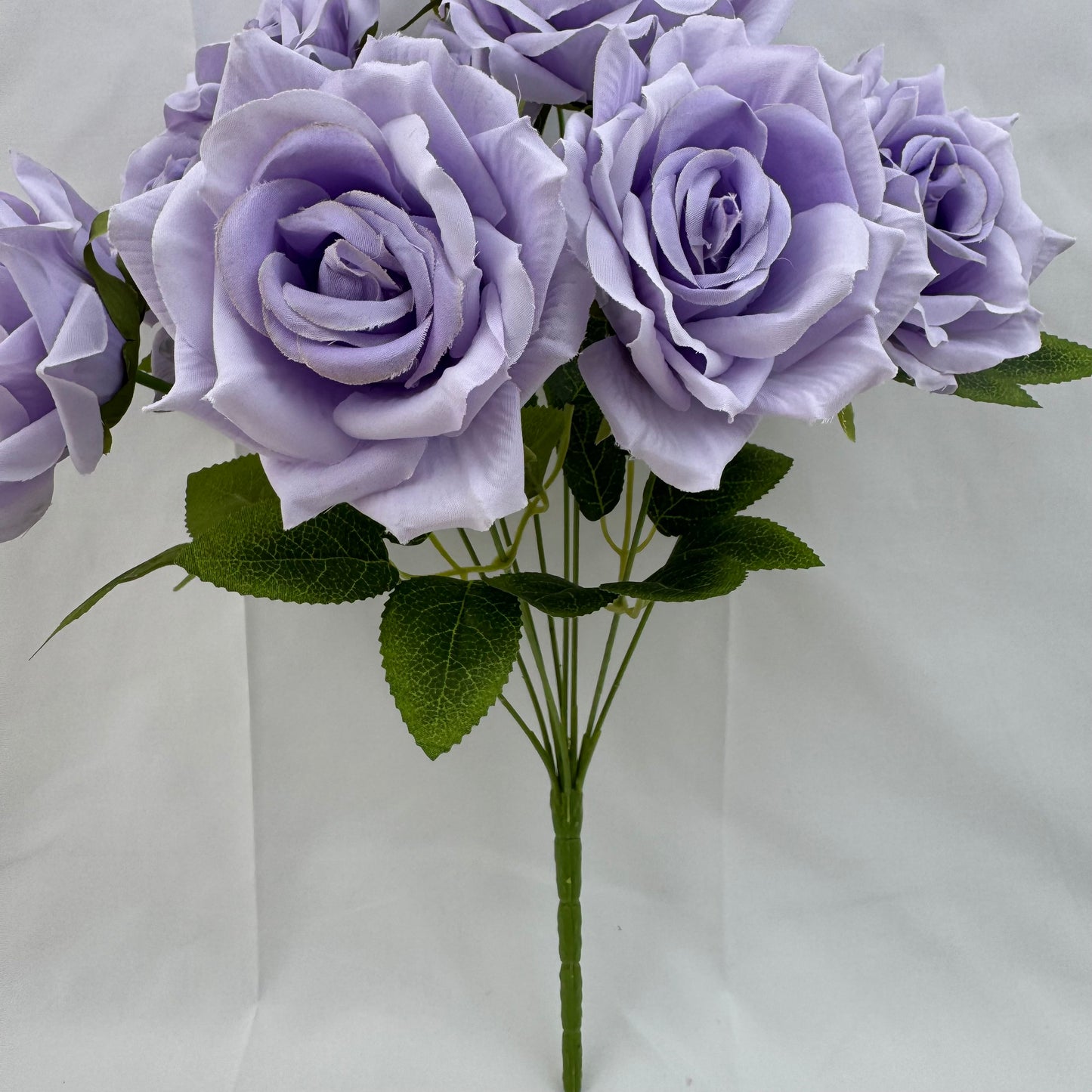 Lilac Silk Fruit Rose Bush - 9 Heads