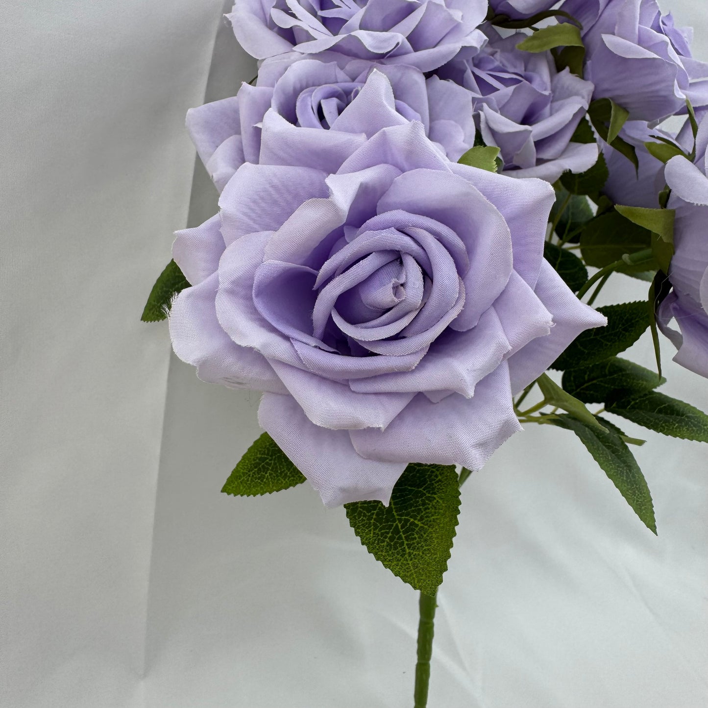 Lilac Silk Fruit Rose Bush - 9 Heads