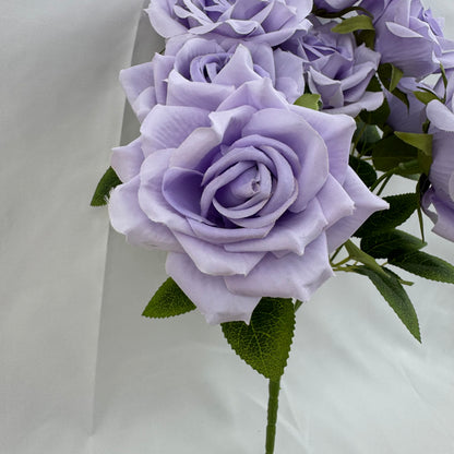 Lilac Silk Fruit Rose Bush - 9 Heads