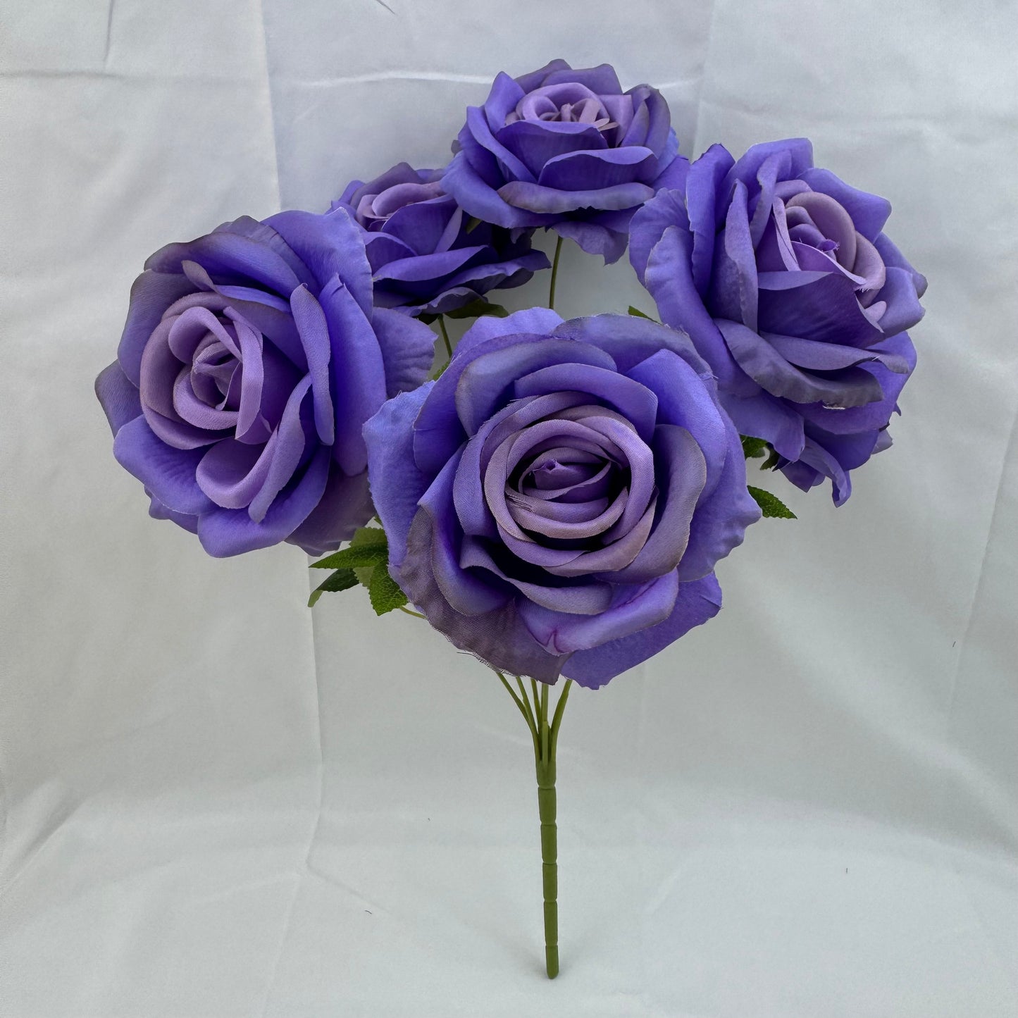 Lilac Silk Star Moon Rose Bush - 7 Heads