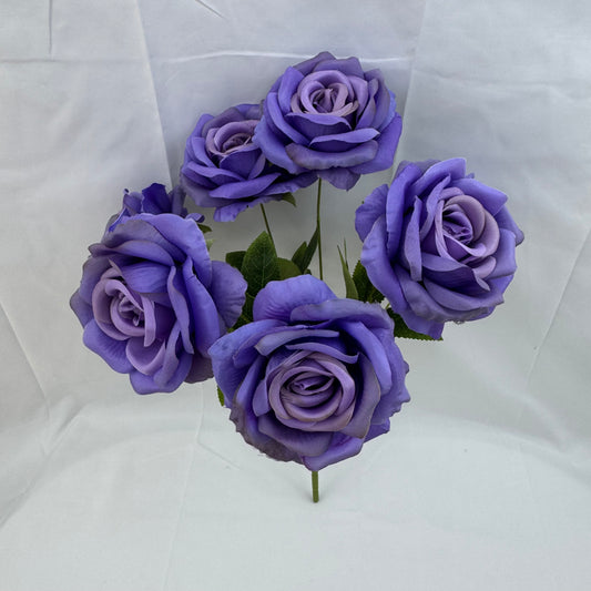 Lilac Silk Star Moon Rose Bush - 7 Heads