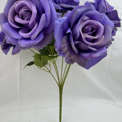 Lilac Silk Star Moon Rose Bush - 7 Heads
