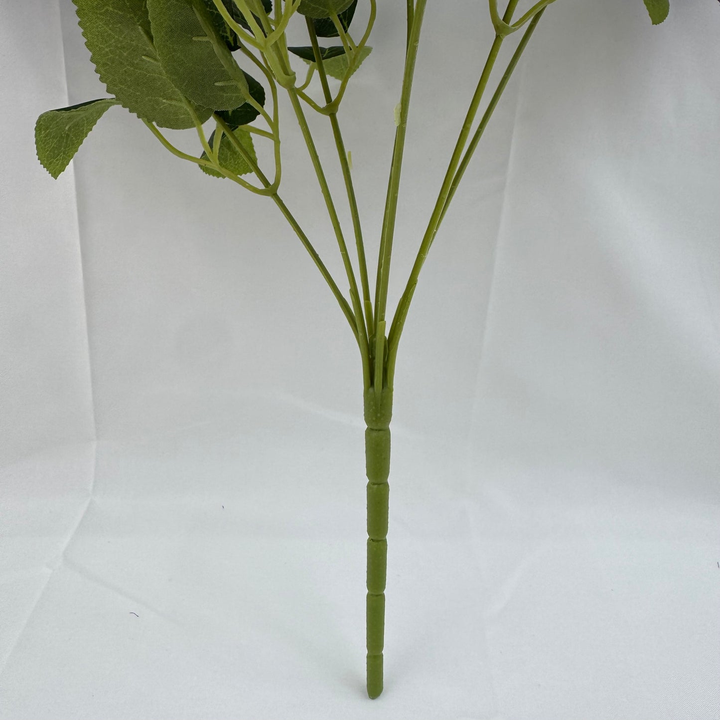 Lilac Silk Star Moon Rose Bush - 7 Heads