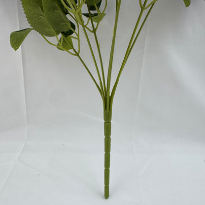 Lilac Silk Star Moon Rose Bush - 7 Heads