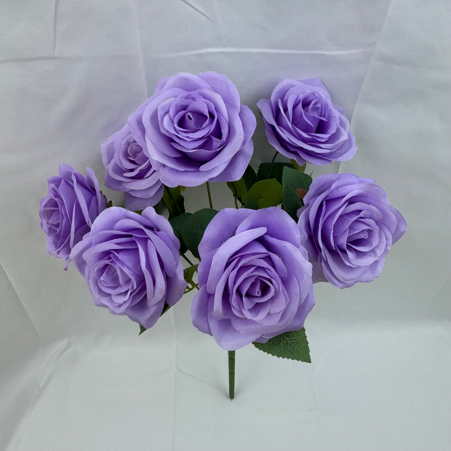 Lilac Silk Happiness Rose Bush - 7 Heads