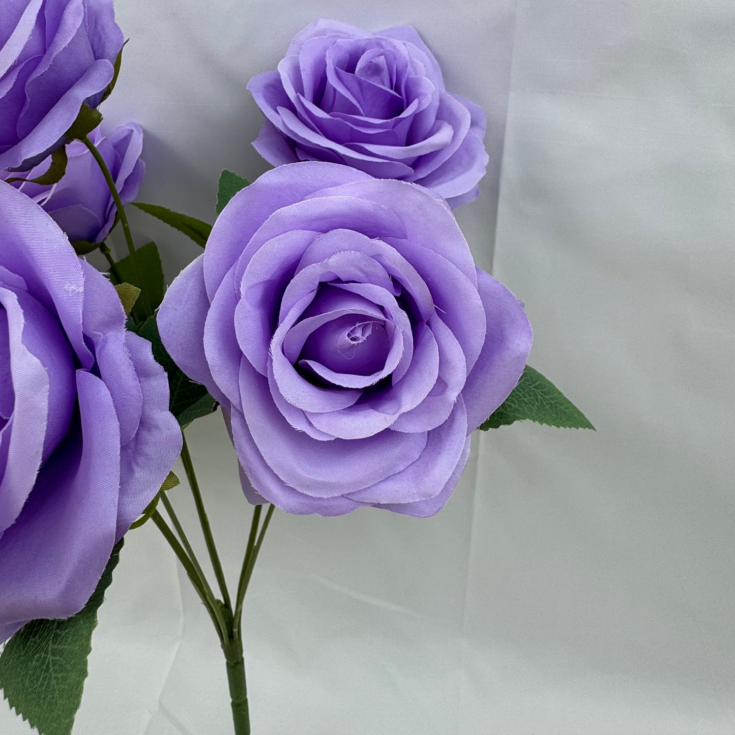 Lilac Silk Happiness Rose Bush - 7 Heads