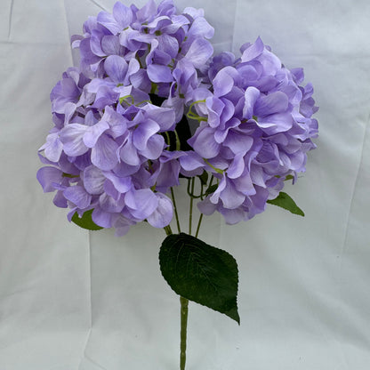 Lavender Silk Bulgarian Hydrangea Bush - 5 Heads