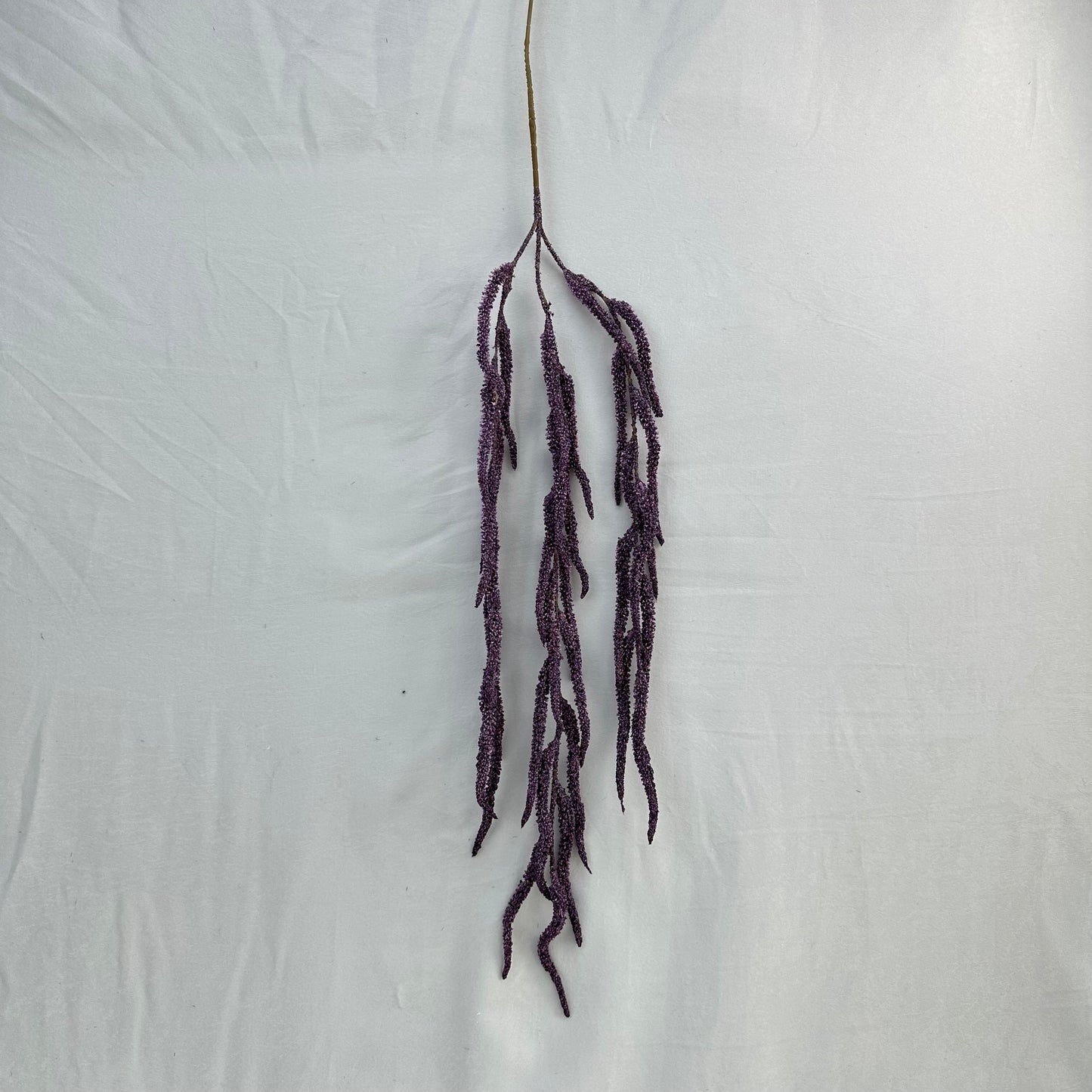 Purple Silk Amaranthus Stem