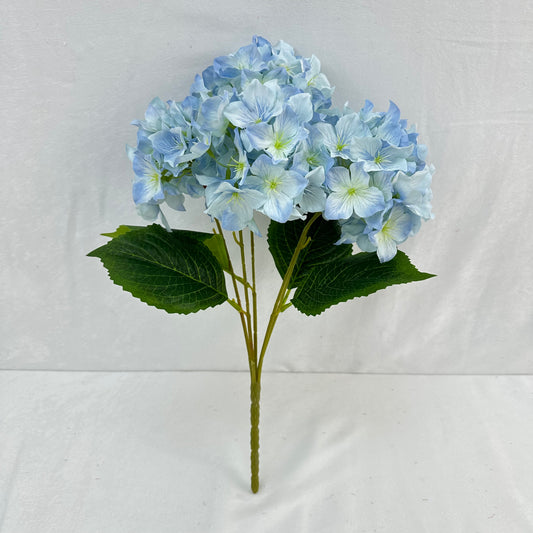 Blue Silk Lady Rose Hydrangea Bush - 5 Heads