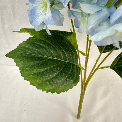 Blue Silk Lady Rose Hydrangea Bush - 5 Heads
