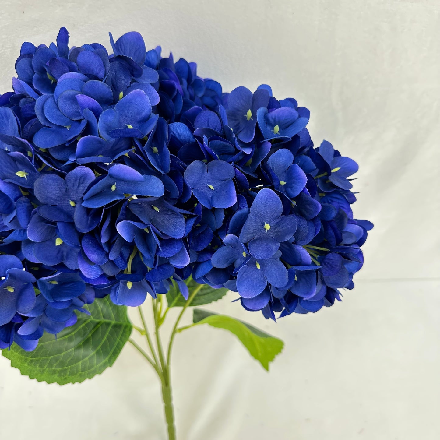 Blue Silk Pomegranate Hydrangea Bush - 5 Heads