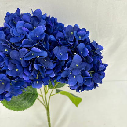 Blue Silk Pomegranate Hydrangea Bush - 5 Heads