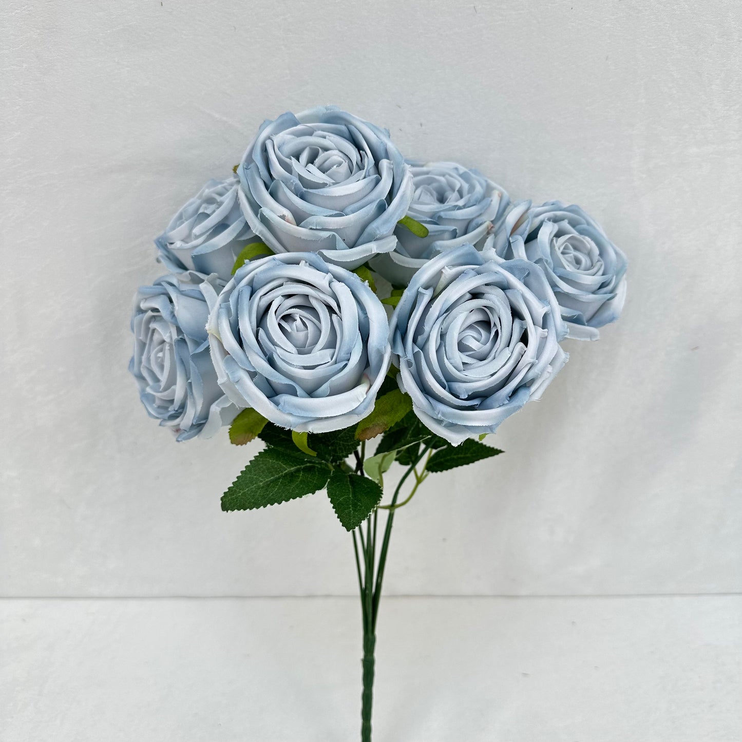 Blue Silk Empress Rose Bush - 7 Heads